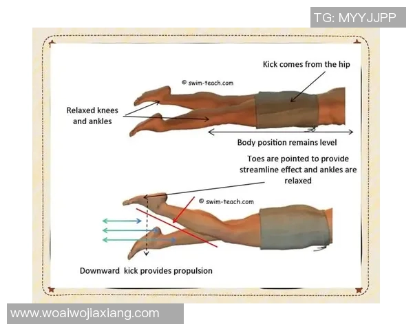 自由泳技巧全面解析 从入门到高手的进阶训练视频教程